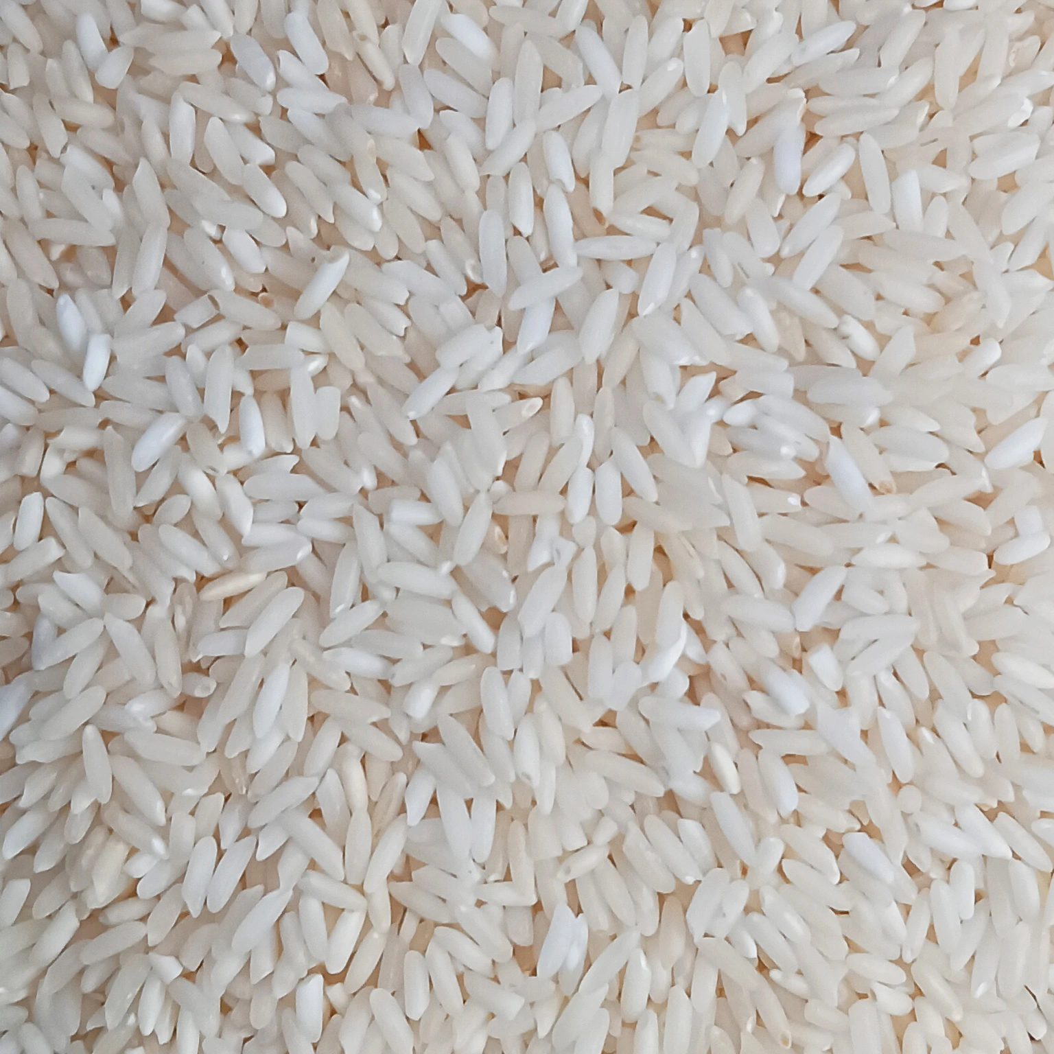 Sonam Rice